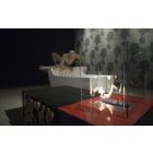 Antonio Lupi Drago DRAGO + LAFLACA table basse avec foyer